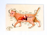 Mačacie orgány, drevená skladačka, stavba mačky