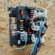 Kasten der Sicherungen Citroen C3 9667199680