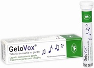 GELOVOX sacie tablety na hrdlo škrabanie chrapot Ríbezľový mentol