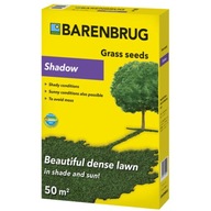 Trawa BG New Shadow & Sun 1KG Barenbrug trawnik w cieniu i słońcu