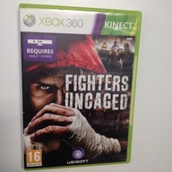 Fighters Uncaged KINECT X360