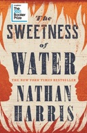 The Sweetness of Water: Longlisted for the 2021