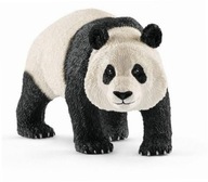 Panda Wielka samiec