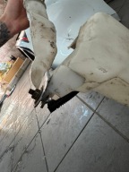 SEAT IBIZA IV washer fluid tank