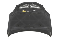 bonnet * engine housing cover LEXUS RX300 RX 2 II LIFT