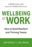 Wellbeing At Work JIM CLIFTON