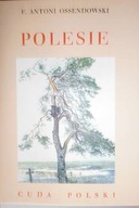 Polesie - Ferdynand Antoni Ossendowski