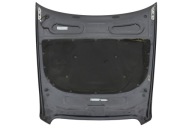 bonnet AUDI A6 C6
