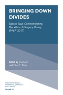 Bringing Down Divides: Special Issue