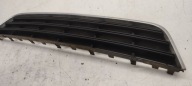 grid of a bumper VW Passat B6 2,0 TDI CR