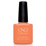 CND Shellac Catch Of The Day 7,3 ml