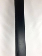 Dodge Challenger Widebody 2015-23 cap threshold threshold moulding left