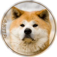 Samolepka na auto - Akita