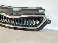 grille grid grill SKODA RAPID LIFT II 20