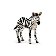 ZEBRA ŹREBIĘ