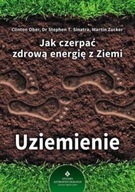 Jak czerpać zdrową energię z ziemi uziemienie