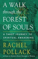 WALK THROUGH THE FOREST OF SOULS - Rachel Pollack [KSIĄŻKA]