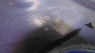 arm left front FORD TRANSIT MK8 12-26R