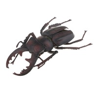 Simulačná hračka Dragonfly Beetle
