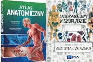 Atlas anatomiczny + Laboratorium Anatomia