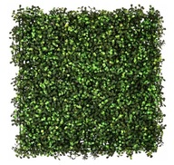 Dekoratívna zelená stena ZD Trading 50x50 cm