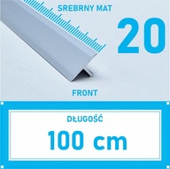 Spojovacia lišta prahová TEOWNIK 20 mm STRIEBORNÁ MAT 1 m