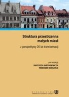 STRUKTURA PRZESTRZENNA MAŁYCH MIAST Z PERSPEKTYWY