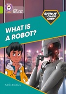 Shinoy and the Chaos Crew: What is a robot?: Band