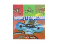 Owady i pajęczaki - Michał Grabowski