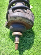 TRAFIC VIVARO PRIMASTAR 8200212633 shock absorber front original MCPERSON