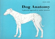 Dog Anatomy: A Pictorial Approach to Canine