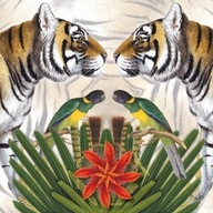 Szülinapi JÓKÍVÁNSÁGOK SZÜLETÉSNAPI AJÁNDÉK SZÜLETÉSNAPI KÉPESLAP Tigris borítékkal