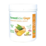 FermentActive Ginger 150g New Roots Herbal