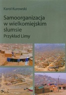 Samoorganizacja w wielkomiejskim slumsie Karol Kurowski