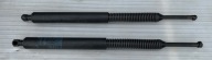 damper bonnet boot rear part right + left BMW 5 F11 PARA