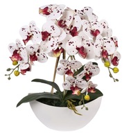 Sztuczny storczyk orchidea w doniczce, biało-bordowy,jak żywy 3 pędy 53 cm