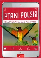 Ptaki Polski najpiękniejsze gatunki Przybyłowicz