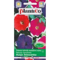 Petunia záhradná ilúzia 0.05g zmes