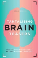 Tantalising Brain Teasers: Over 100 challenging
