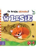 Co kryją okienka? W lesie