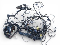 bundle wiring electrical Seat Ibiza V 6F KJ 2020