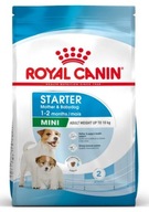 Royal Canin Mini Starter Mother&Babydog suché krmivo pre šteňatá do 2 mesiacov