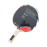 Гігантська ракета одного розміру