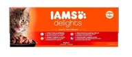 IAMS Cat Delights Adult All Breeds Land&Sea In Jelly Pouch 48 X 85 g