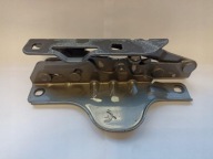 TESLA MODEL S 12- hinge bonnets left 1029284-00-CA
