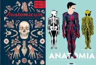 Anatomicum + Anatomia Obraz
