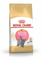 Royal Canin FBN Kitten shorthair 2 kg
