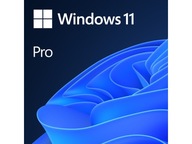 Program MICROSOFT Windows 11 Professional Box