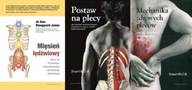 Mięsień lędźwiowy Postaw na plecy Mechanika pleców