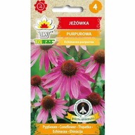 Echinacea purpurová 1g T